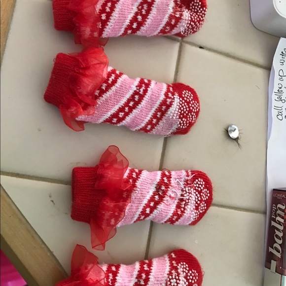 Maltese - Picture 16 of 16